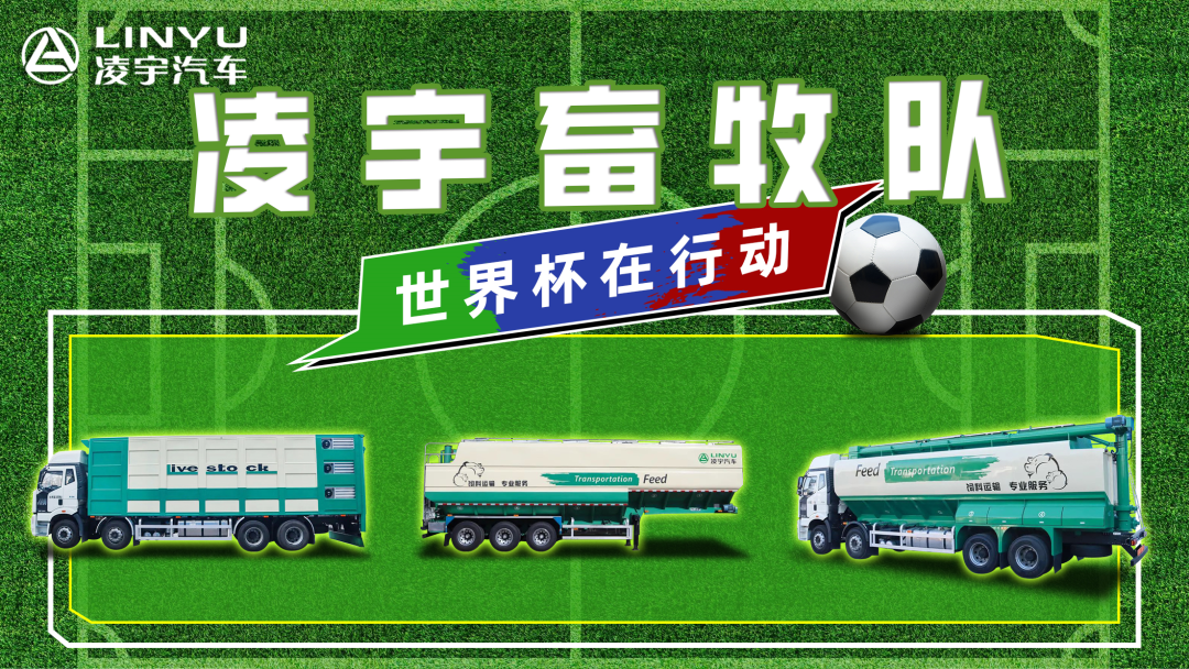 奪冠世界杯！你注意到這支球隊了嗎？